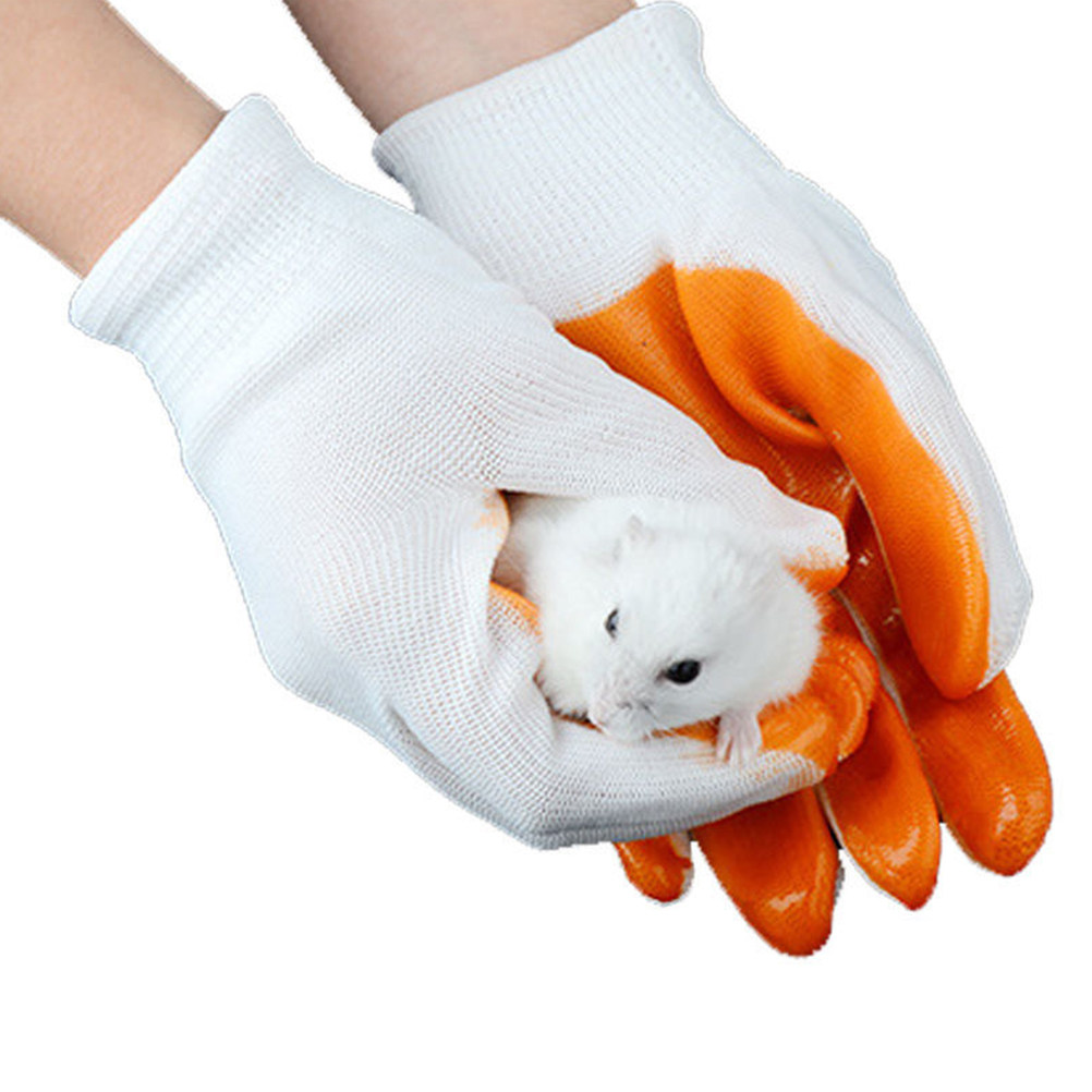 1組の動物用防咬手袋、厚手のゴム製、通気性があり、耐切創性が - Cut Resistant Glove のレビューと価格