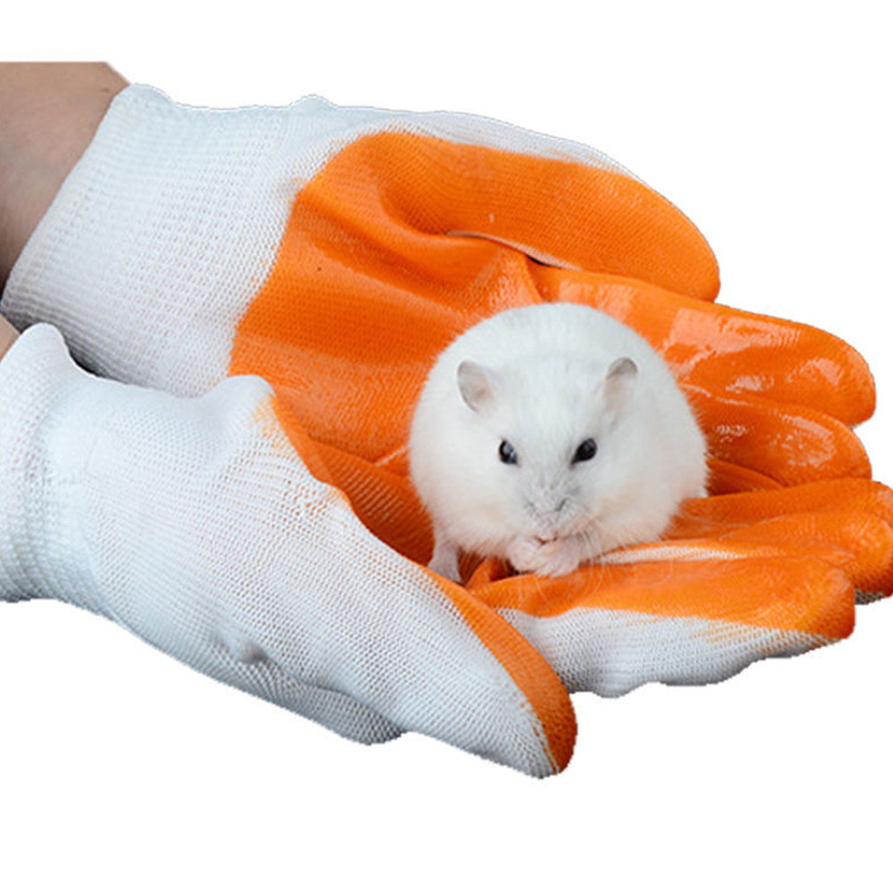 1組の動物用防咬手袋、厚手のゴム製、通気性があり、耐切創性が - Cut Resistant Glove のレビューと価格